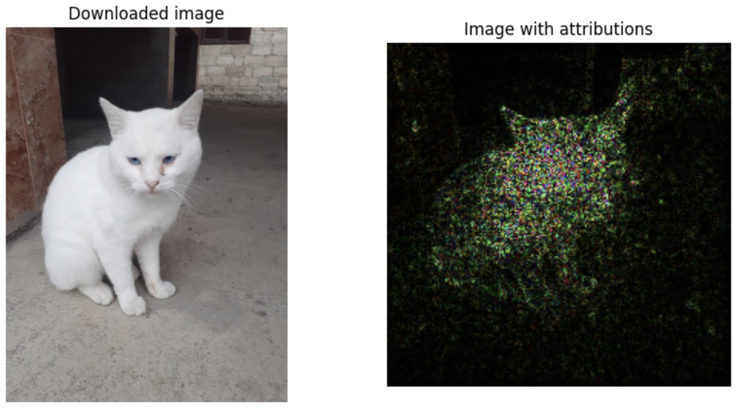Downloaded image vs Image with attributions