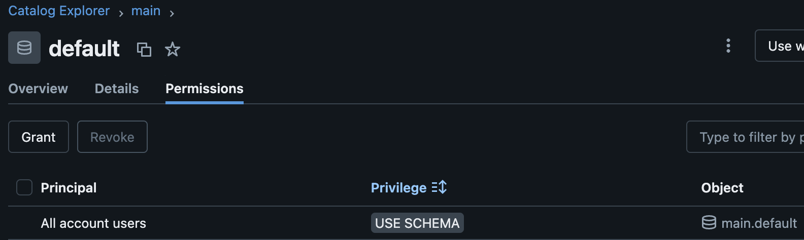 Permissions applied in the default schema inside the main catalog available out of the box