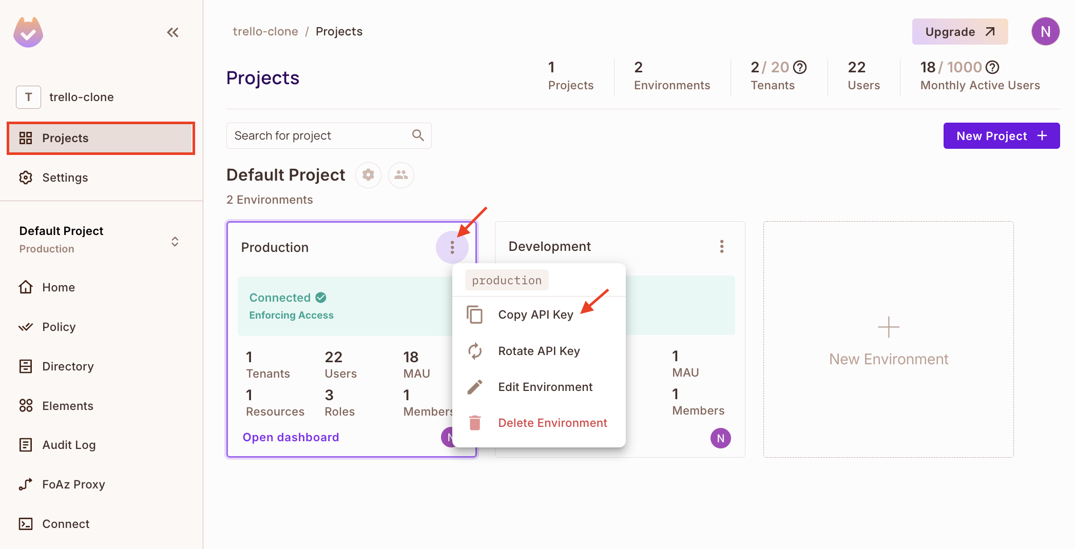 Select your preferred environment, whether Production or Development, or create a new one and Copy API Key