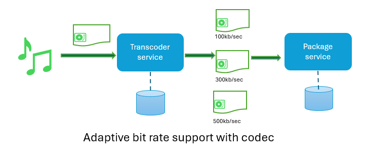 Adaptive bit rate support with codec