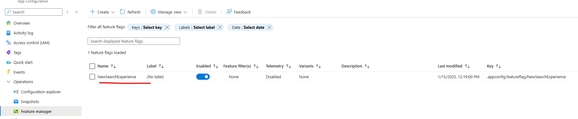 List of feature flags in the Feature Manager view