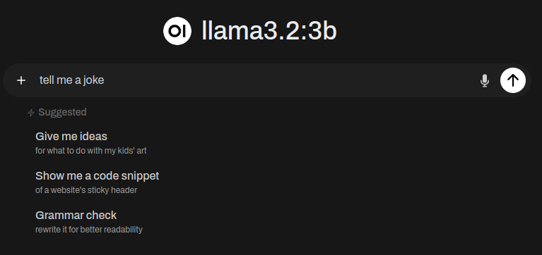 First prompt