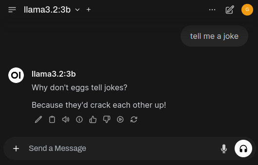Model returns a response