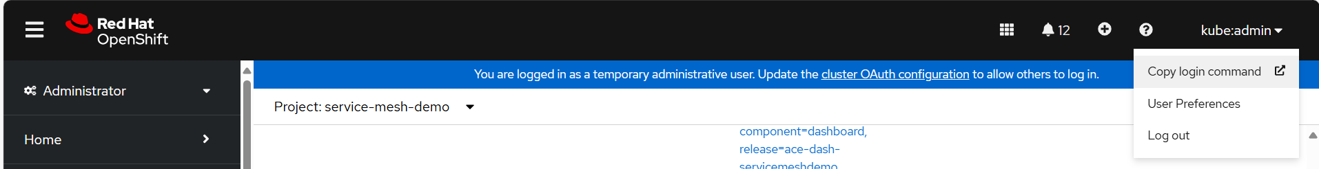 Get the oc login console token