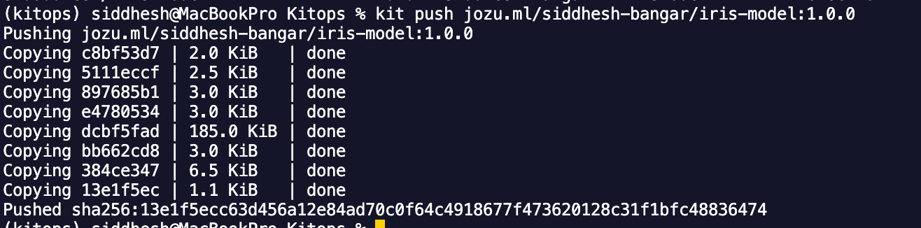 Push the ModelKit to a remote registry