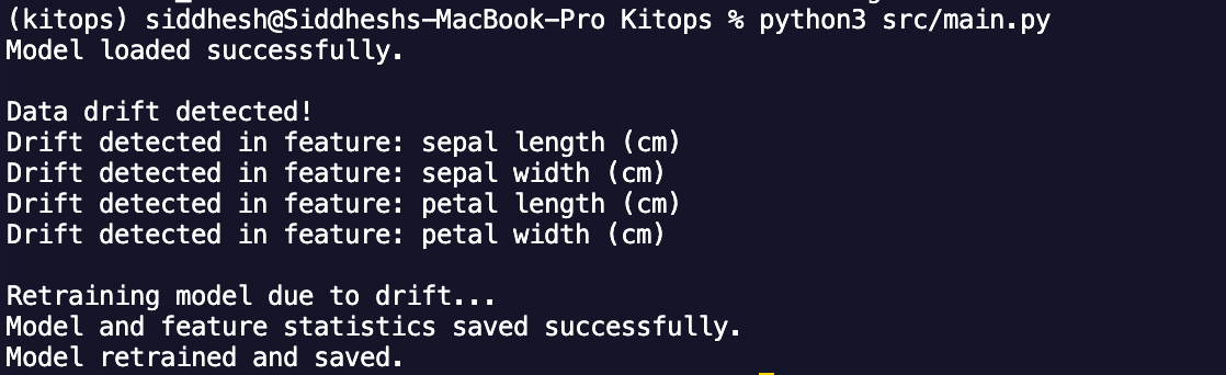 How the output should look like