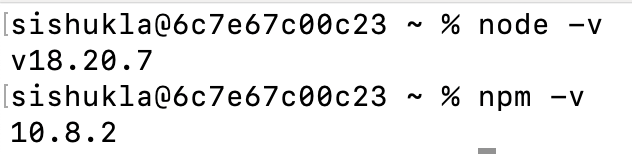 Installed versions of Node.js and npm