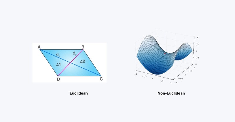 Euclidean vs non-Euclidean