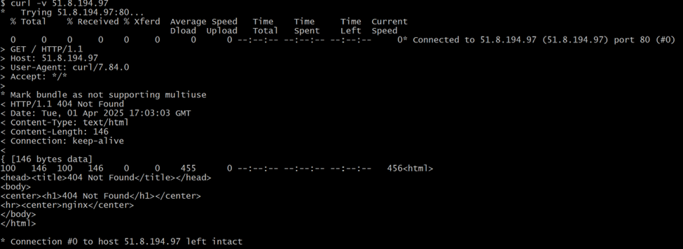curl -v External IP Address command output