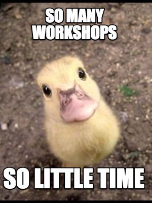 So many workshops so little time meme