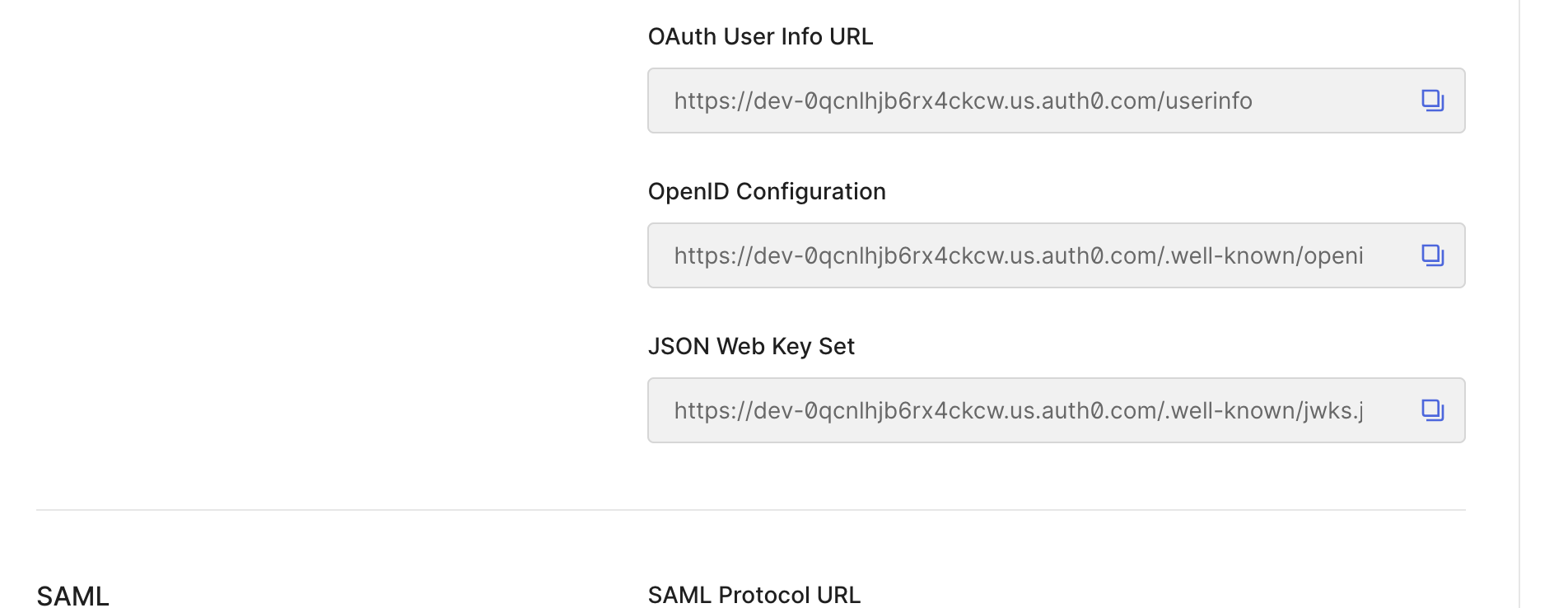 JWT policy configuration within the API Manager