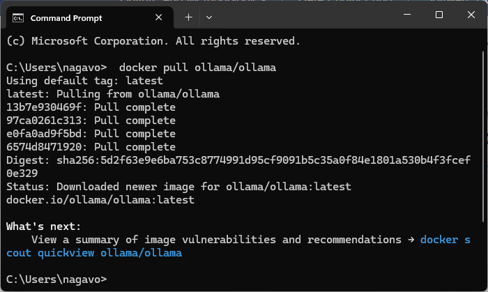 An image showing the successful pull of the ollama/ollama image.