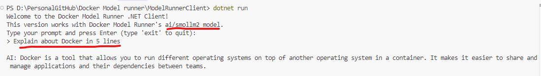 An image showing how you can interact with the model directly from your terminal