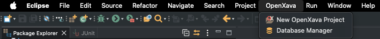 Eclipse IDE