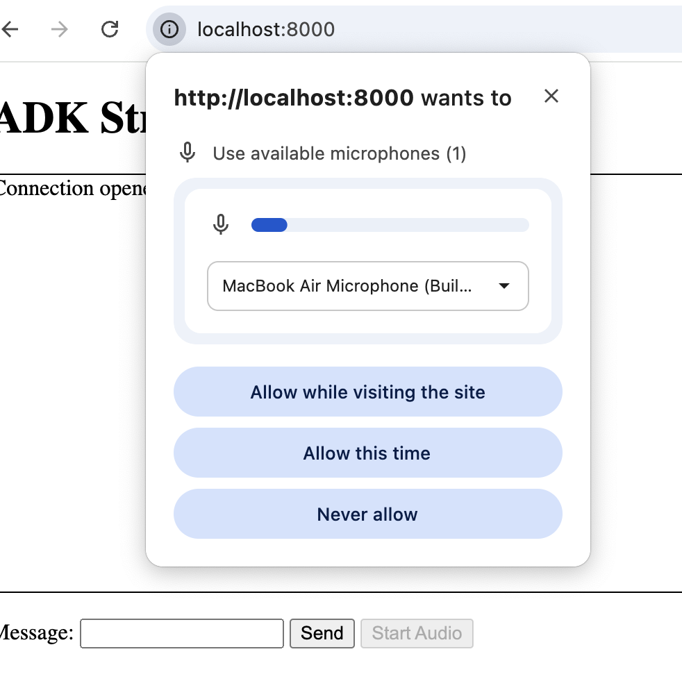 ADK streaming interaction