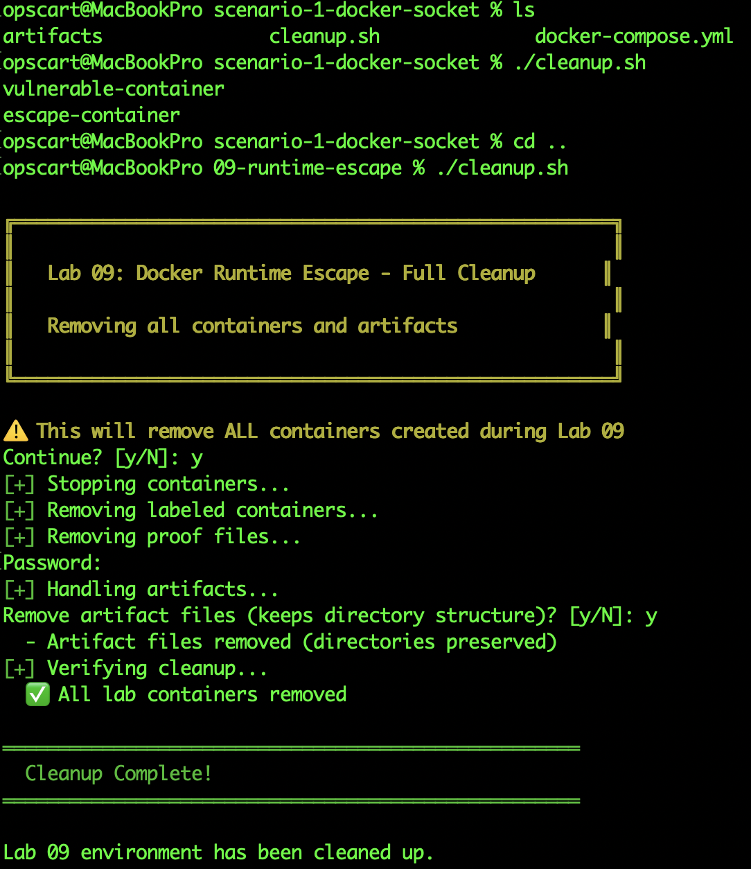 Running cleanup.sh