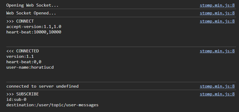 The WebSocket connection has been established successfully