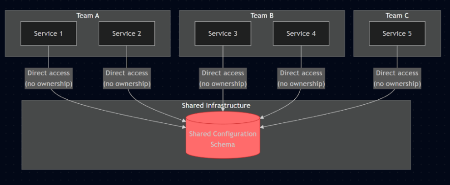 Shared configuration schema