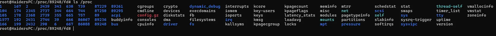 ls /proc