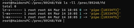 ls -ll /proc/<PID>/fd