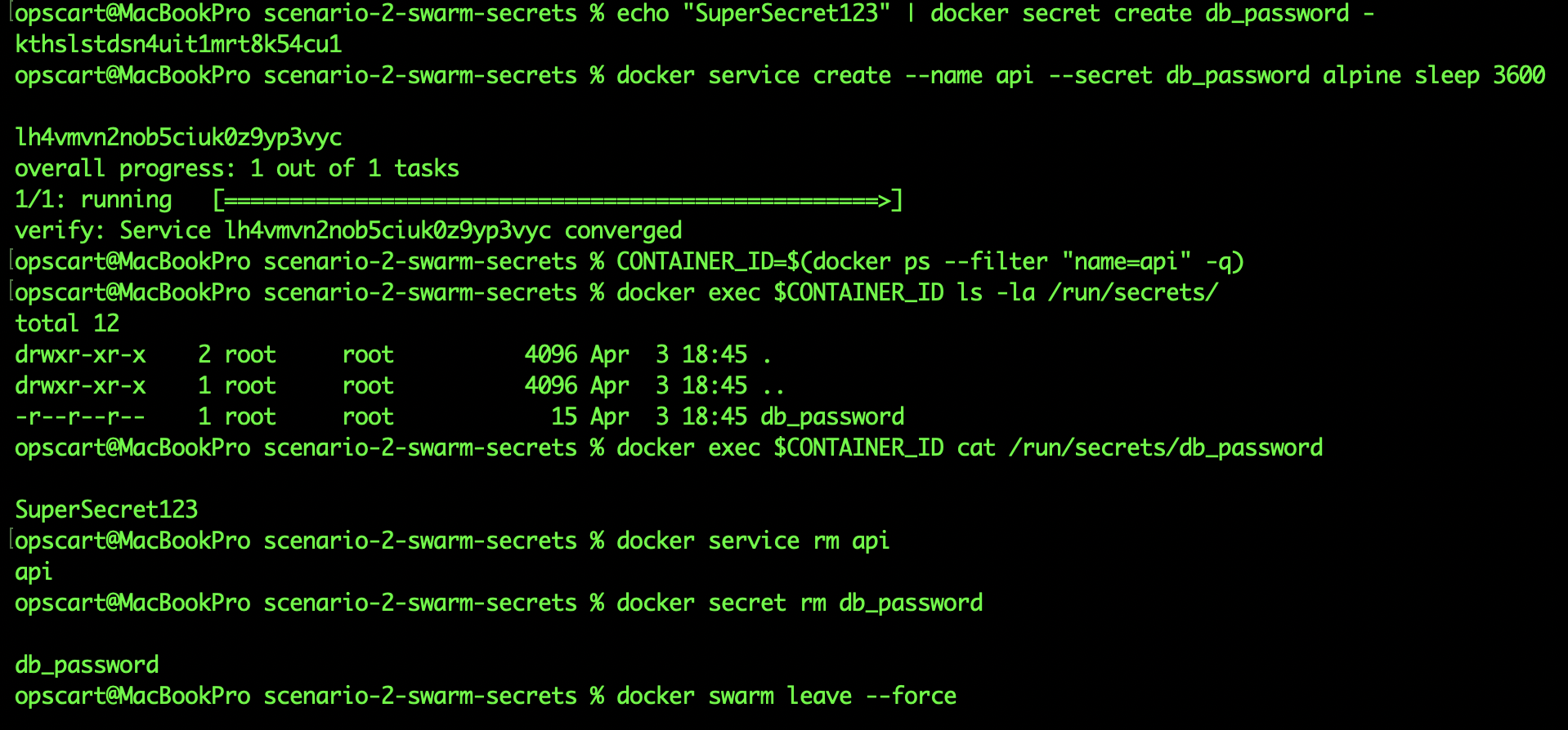 Terminal screenshot showing secret mounted at /run/secrets/ with permissions 400