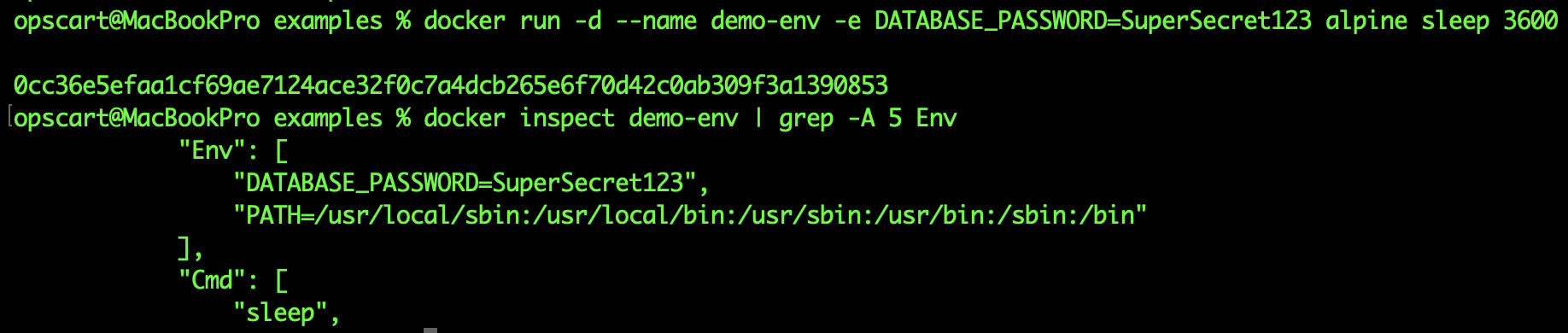 Screenshot of docker inspect showing environment variables with secrets visible