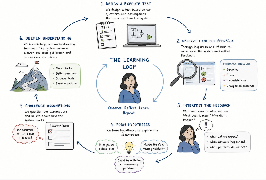 Figure 1: Testing is a feedback loop of learning