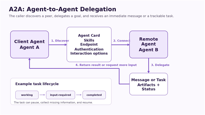 Title: A2A communication flow - Description: A client agent discovers a remote agent through an Agent Card, connects to its advertised interface, delegates work, and receives a message or a task with status and artifacts.