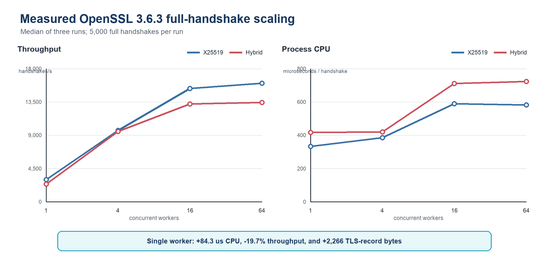 Throughput plateaus beyond 16 workers on the 11-core host
