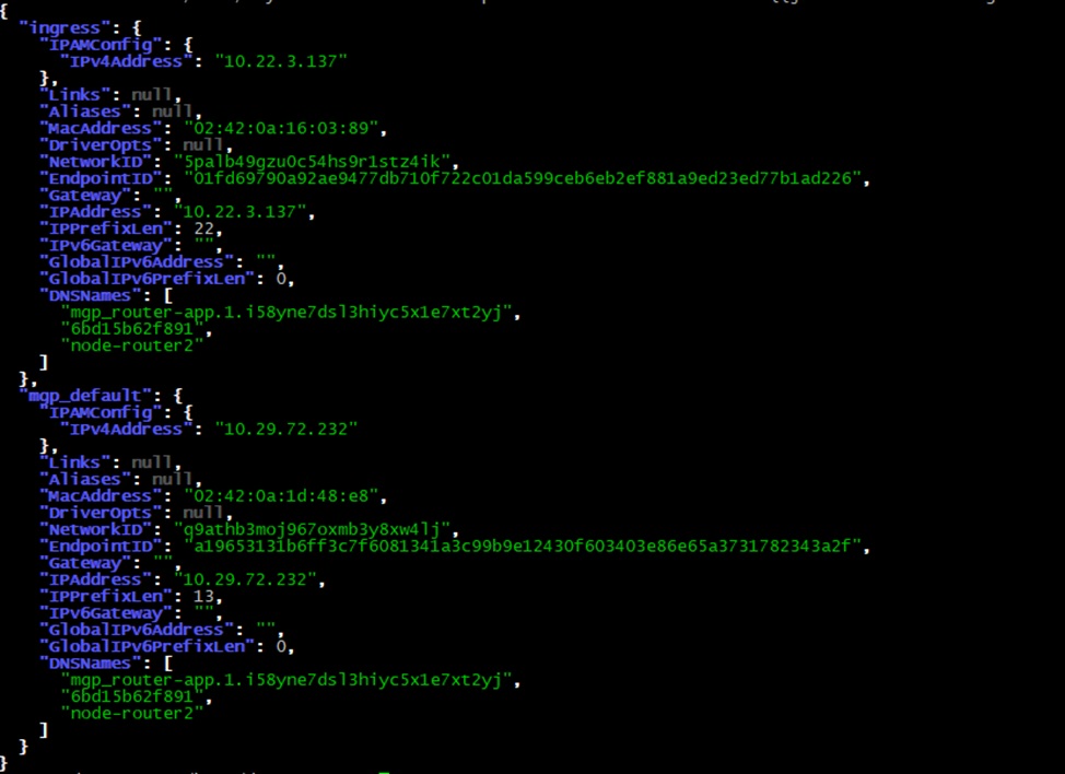 Networks connected to the container
