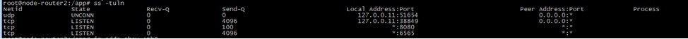 Check whether the application was listening on the expected port