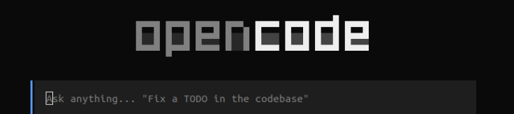 Type the command opencode in the terminal