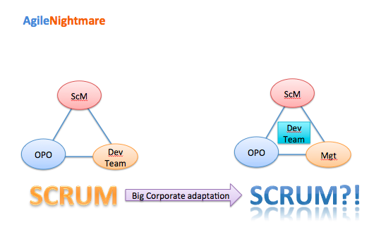 Figure 1: Applied Agile methodology and Scrum Framework adaptation in enterprise