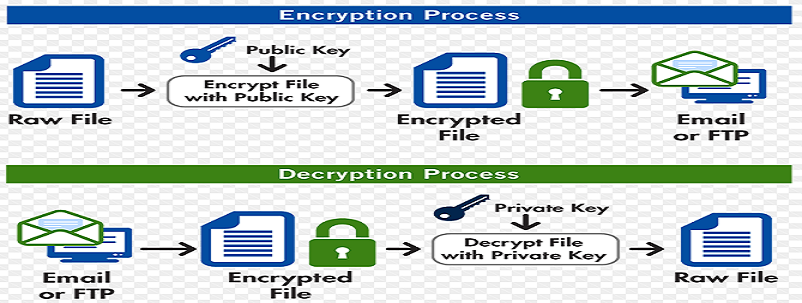 send private key in gpg mail