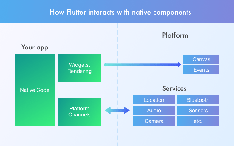 How Flutter interacts