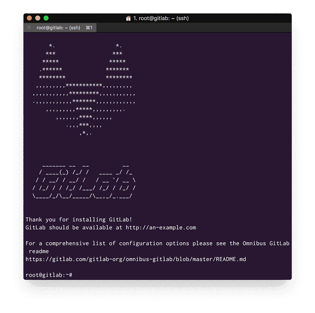 GitLab initial installation is complete
