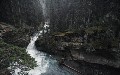 related article thumbnail