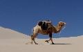 related article thumbnail