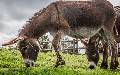 related article thumbnail
