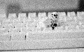 related article thumbnail