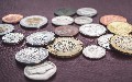 related article thumbnail
