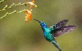 related article thumbnail