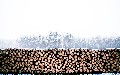 related article thumbnail