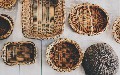 related article thumbnail