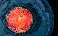 related article thumbnail