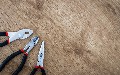 related article thumbnail