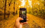 article thumbnail