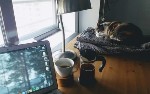 article thumbnail