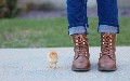 related article thumbnail