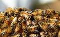 related article thumbnail